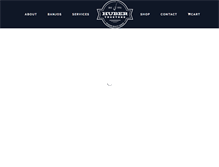 Tablet Screenshot of huberbanjos.com